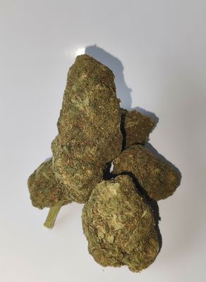 Super skunk freeeeezzzzz🥶❄️