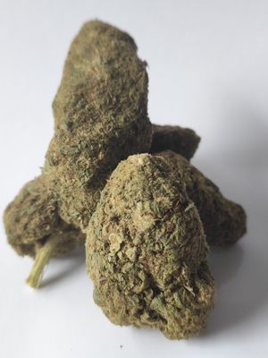 Super skunk freeeeezzzzz🥶❄️