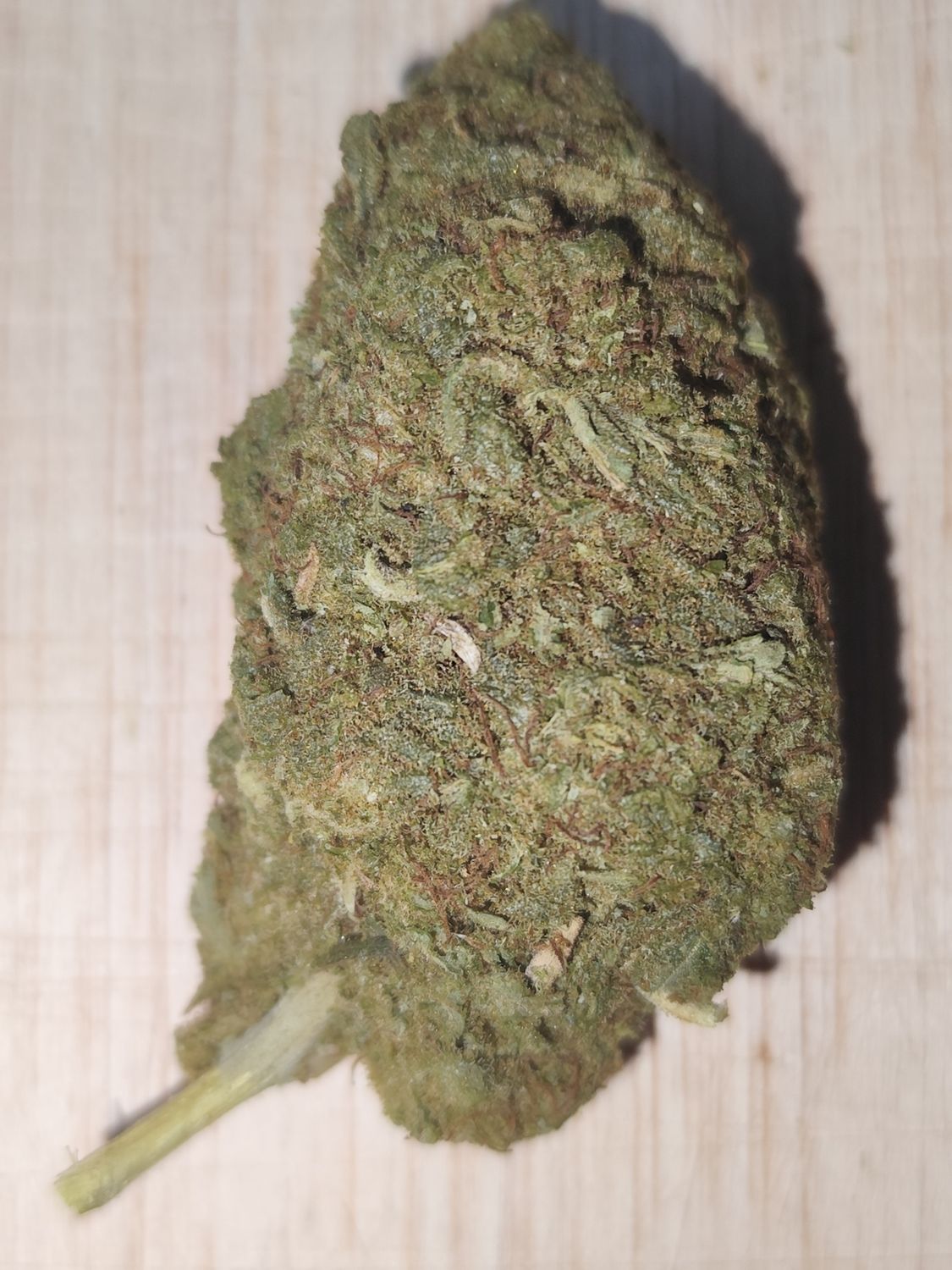 Super skunk freeeeezzzzz🥶❄️