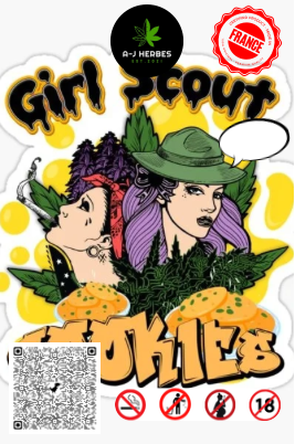 Girls scoot cookies