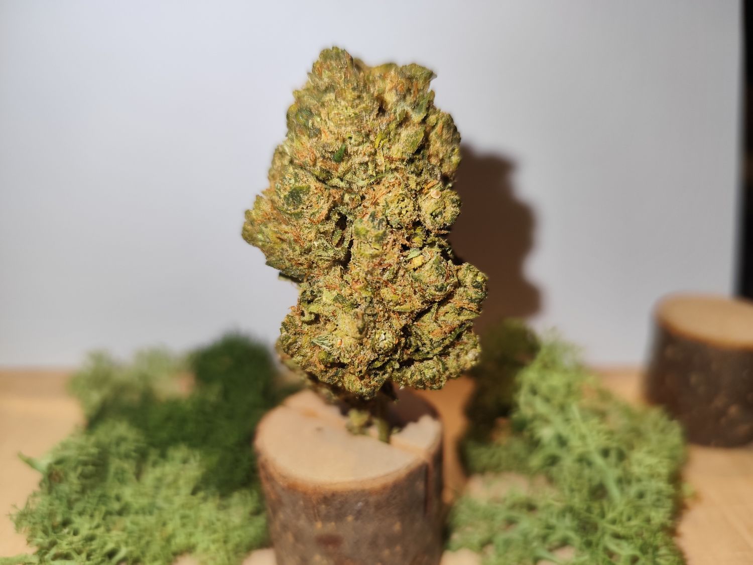 Orange bud boost indoor 🇫🇷