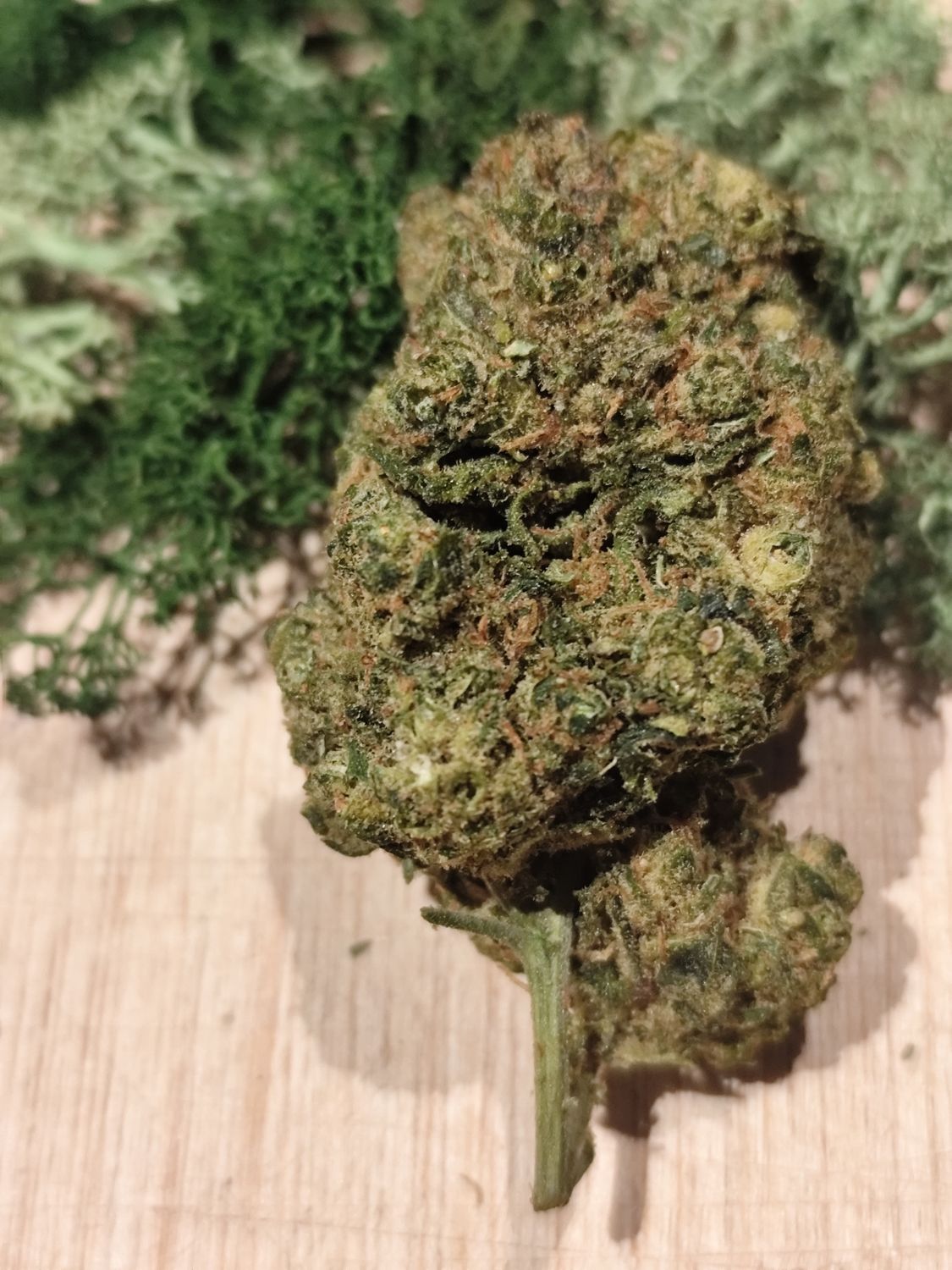 Orange bud boost indoor 🇫🇷