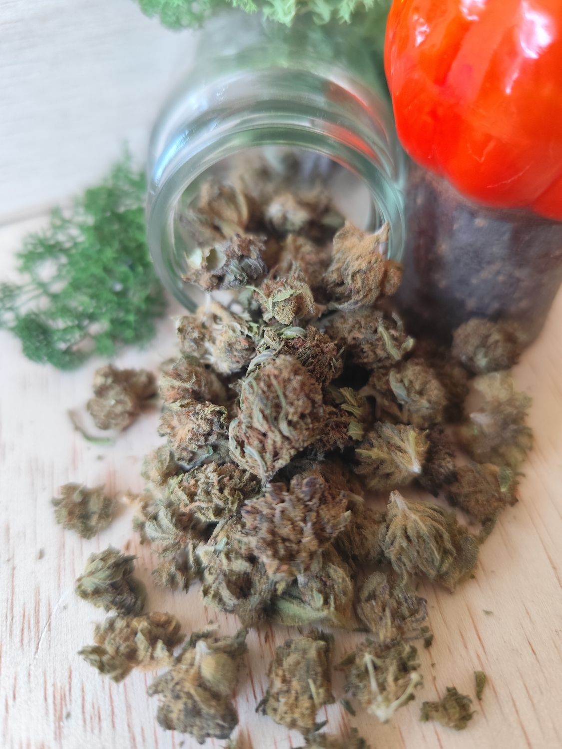 LEMON POP 🍋🍋‍🟩