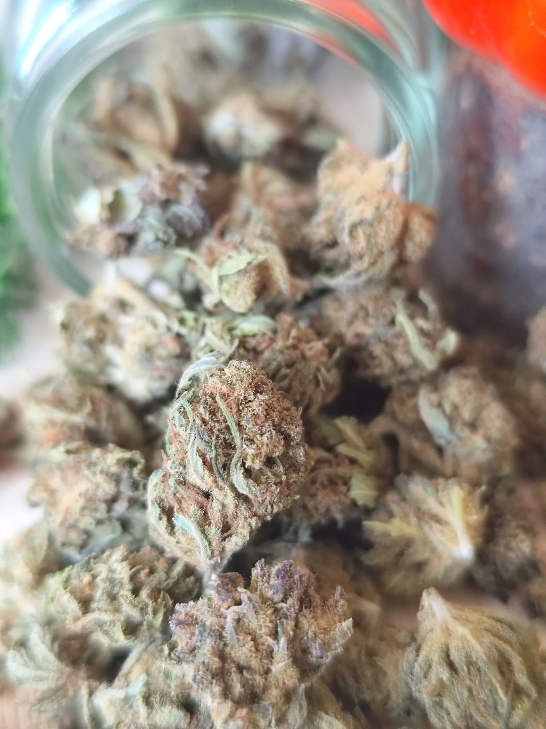 LEMON POP 🍋🍋‍🟩