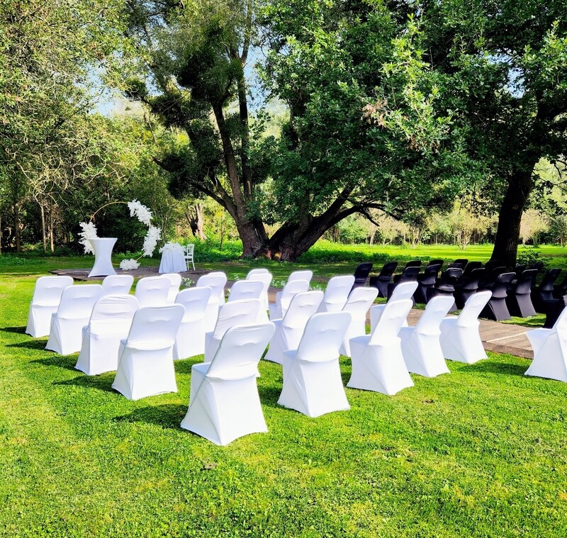 Location Housse de chaise blanche ou noire, extensible