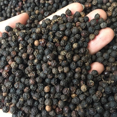 Black Pepper 500gl-600gl
