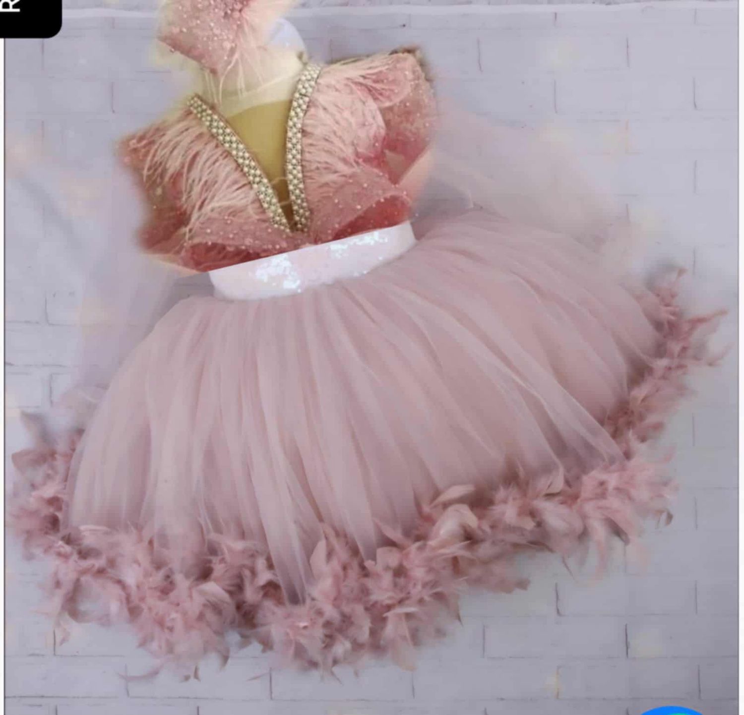 Feathered Rose Dream Dress ( Custom Order )