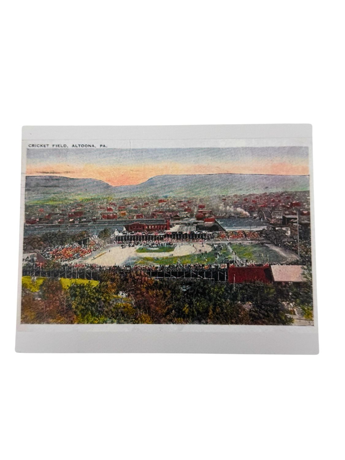 Cricket Field Color Postcard