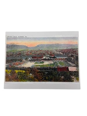 Cricket Field Color Postcard