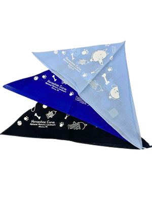 Horseshoe Curve Dog Bandana
