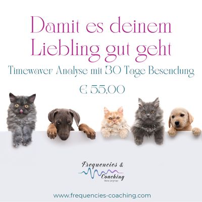 TIMEWAVER 30 TAGE BESENDUNG FÜR DEIN TIER