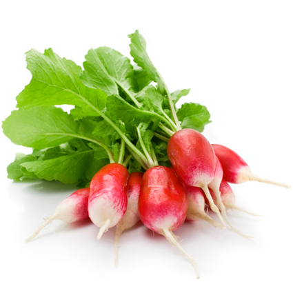 Radish