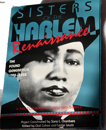 Sisters of the Harlem Renaissance 1899-1932 Writers and Artist - 27 Collectible photos and historical facts on each card.  Free Shipping