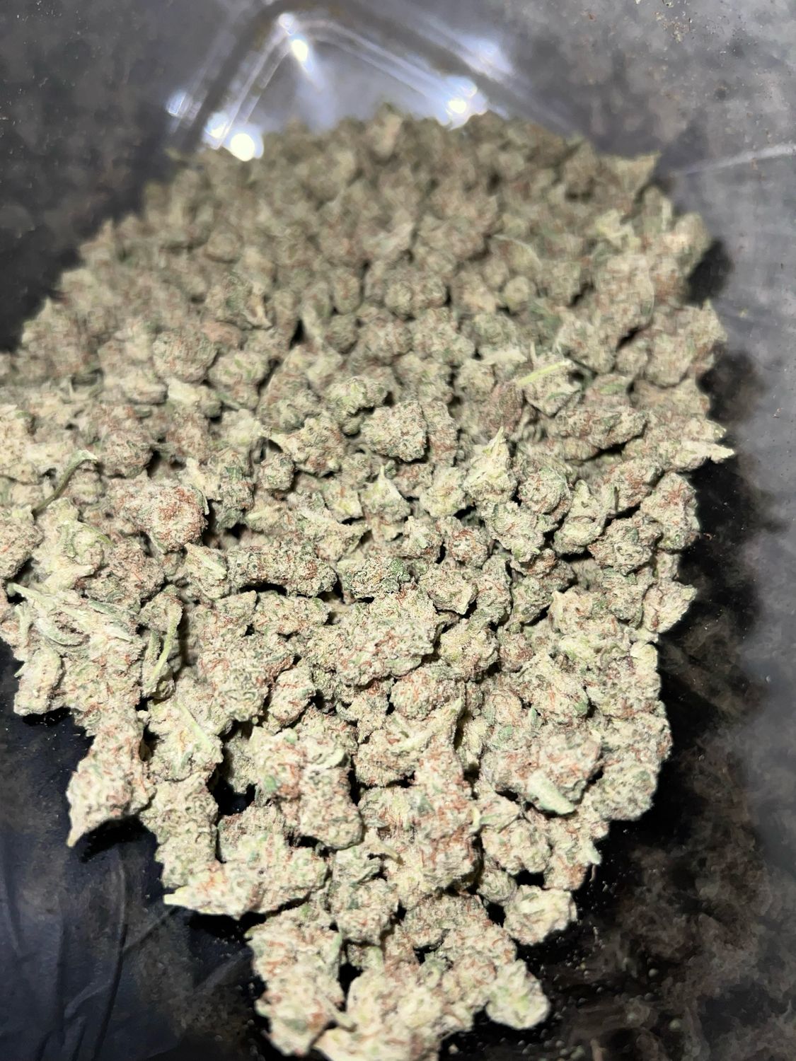 1 Oz Blueberry Space Cake 33.05%
