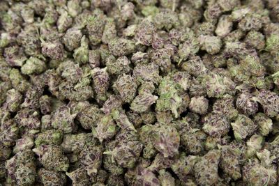White Truffle 🍄 30.07%