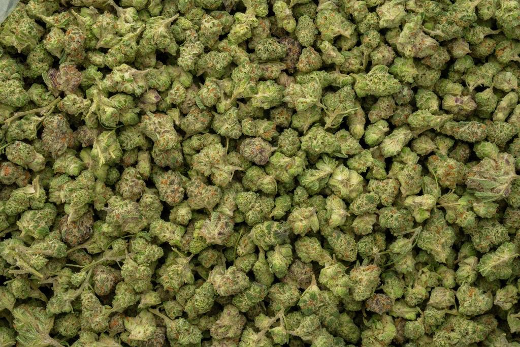 Purple Punch 👾🥊 29.38%