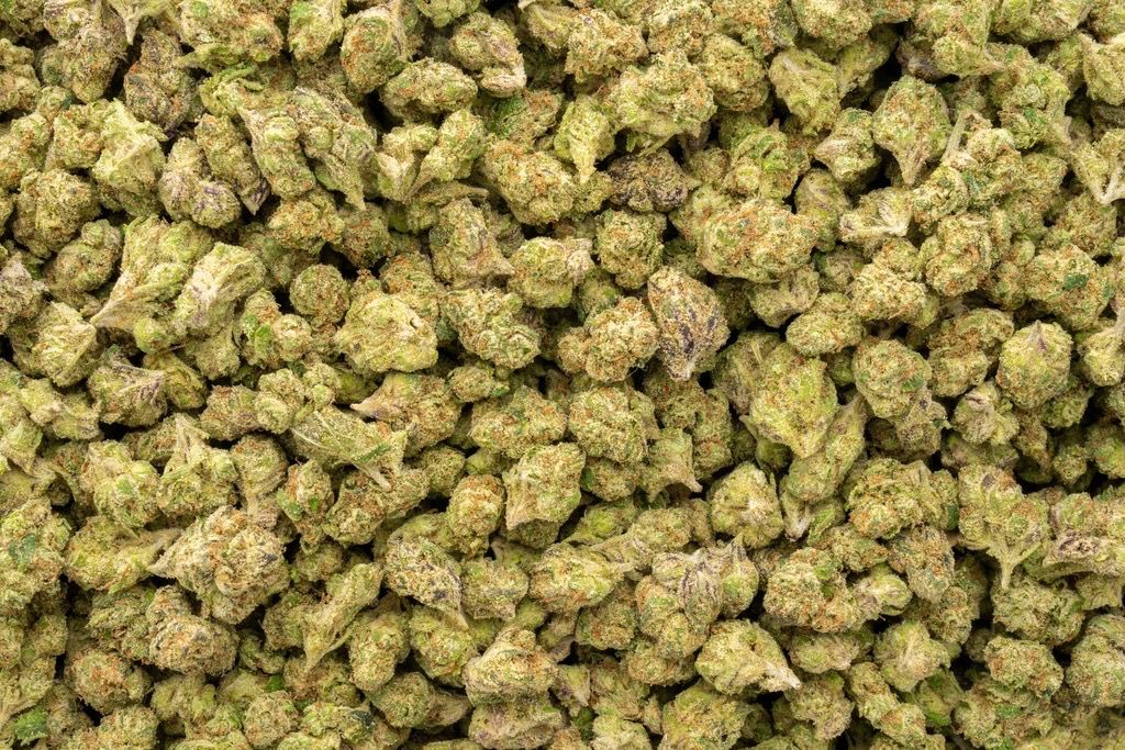 Candy Glue 🍯 24.8%