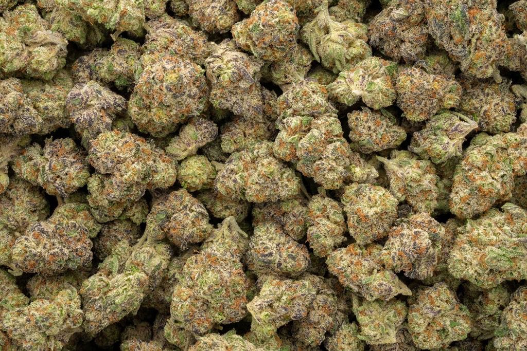 1 Pound Blackberry Caviar Indoor 🎩 34.40%