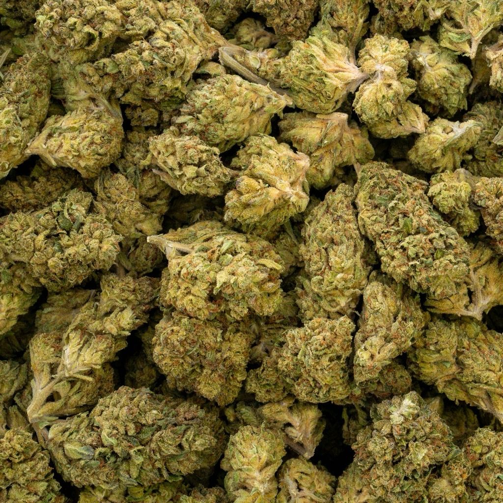 1 Pound Goji OG 🫠 24.24%