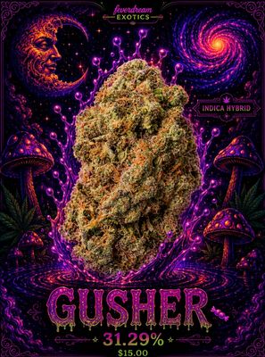 Gusher 31.29% 🍬