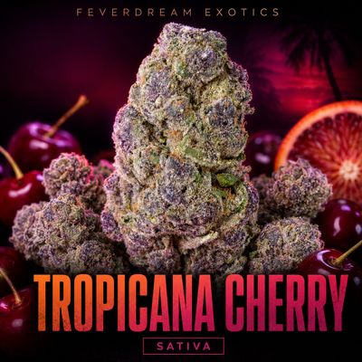Tropicana Cherry 26% 🍒