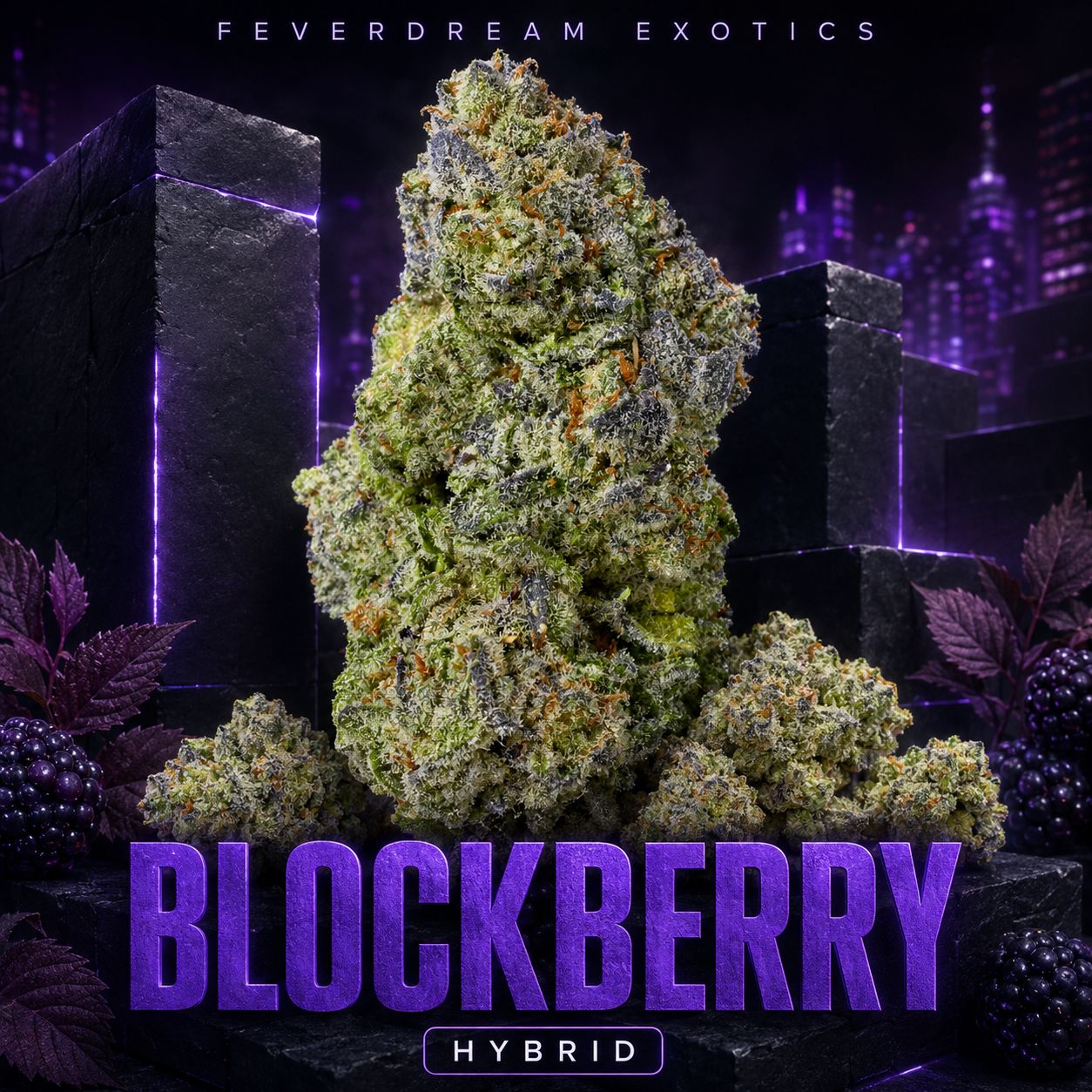 Blockberry 25% 🧱