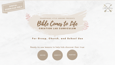 Creation Lab Curriculum (Digital Download)