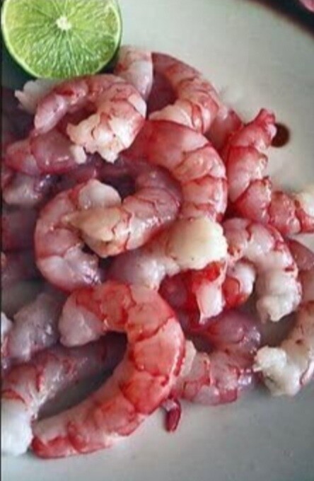 Royal Red Shrimp