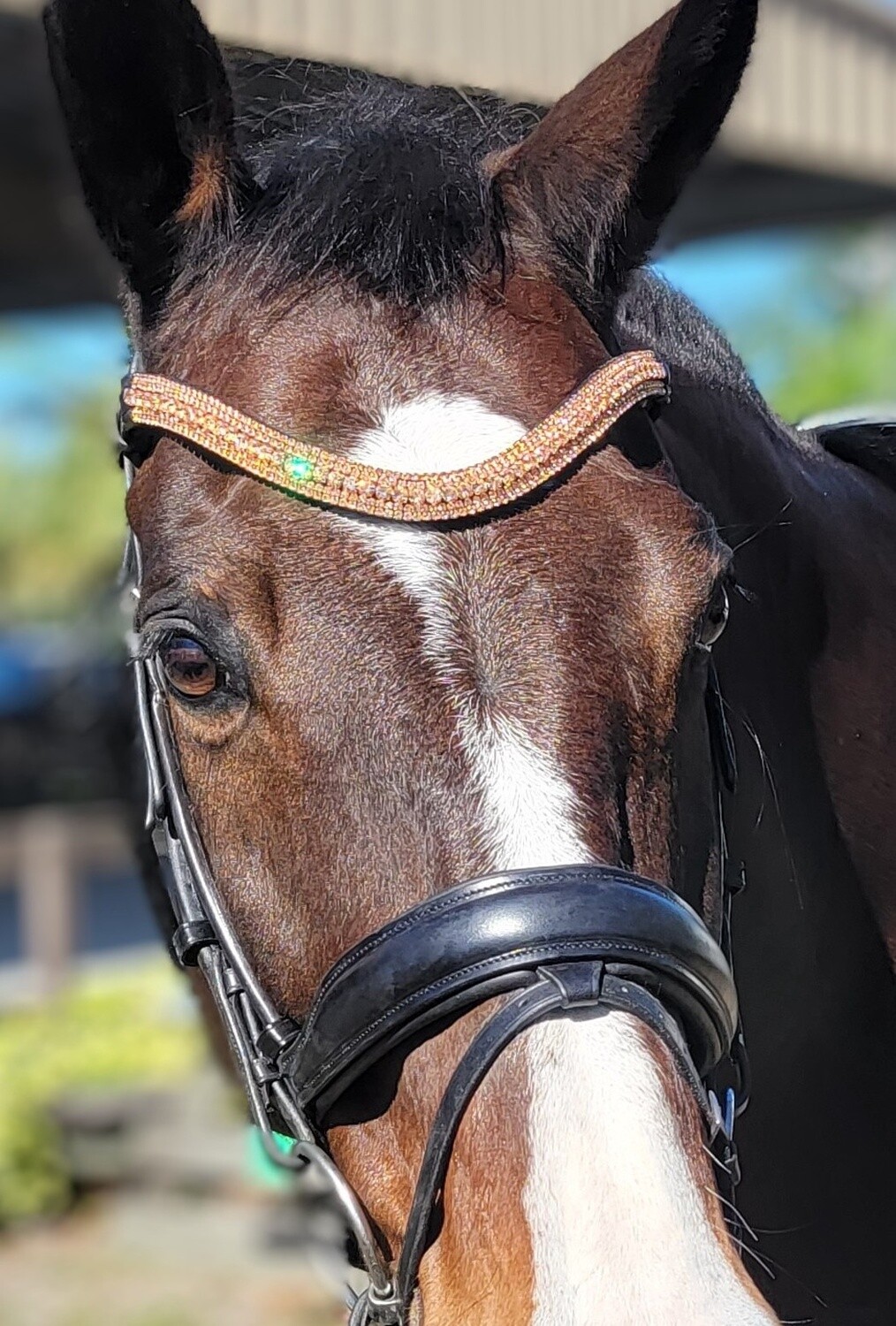 Rose Gold  5 Row PRECIOSA Glass Crystal - Easy On/Off Snap BLACK or BROWN Leather Browband