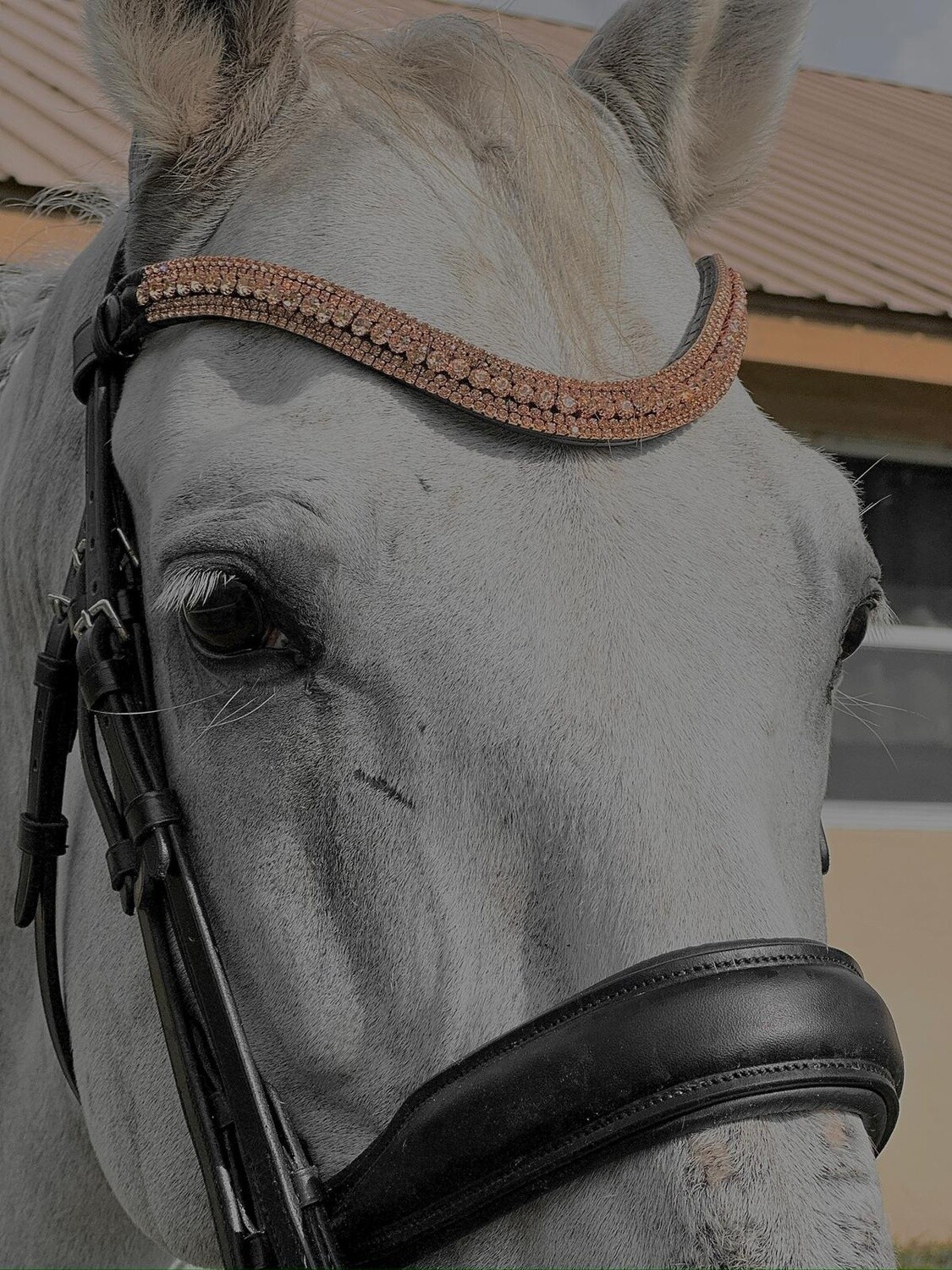 Equipride Têtière à Cristaux 5 Rangs Courbée, Cuir Marron – élégance Et Robustesse Pour Votre Cheval