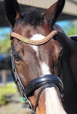Rose Gold  5 Row PRECIOSA Glass Crystal - Easy On/Off Snap BLACK or BROWN Leather Browband