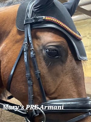 Colors of Spain  X-Deep U   * 3 Row (6.5mm, 3mm Size PRECIOSA Glass Crystal)  * Easy On/Off Snap   * BLACK or BROWN Italian Leather Browband  * Jet Black, Black and Clear Diamond Crystals  * - Citrine