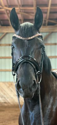 3 Row (6.5mm, 3mm Size PRECIOSA Glass Crystal)  * Easy On/Off Snap  * BLACK or BROWN Leather Browband  *Lt Rose, Vintage Rose and Black Diamond Crystals