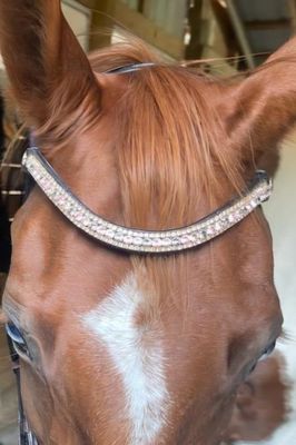 3 Row (6.5mm, 3mm Size PRECIOSA Glass Crystal)  * Easy On/Off Snap  * BLACK or BROWN Leather Browband  *Lt Rose, Vintage Rose and Black Diamond Crystals