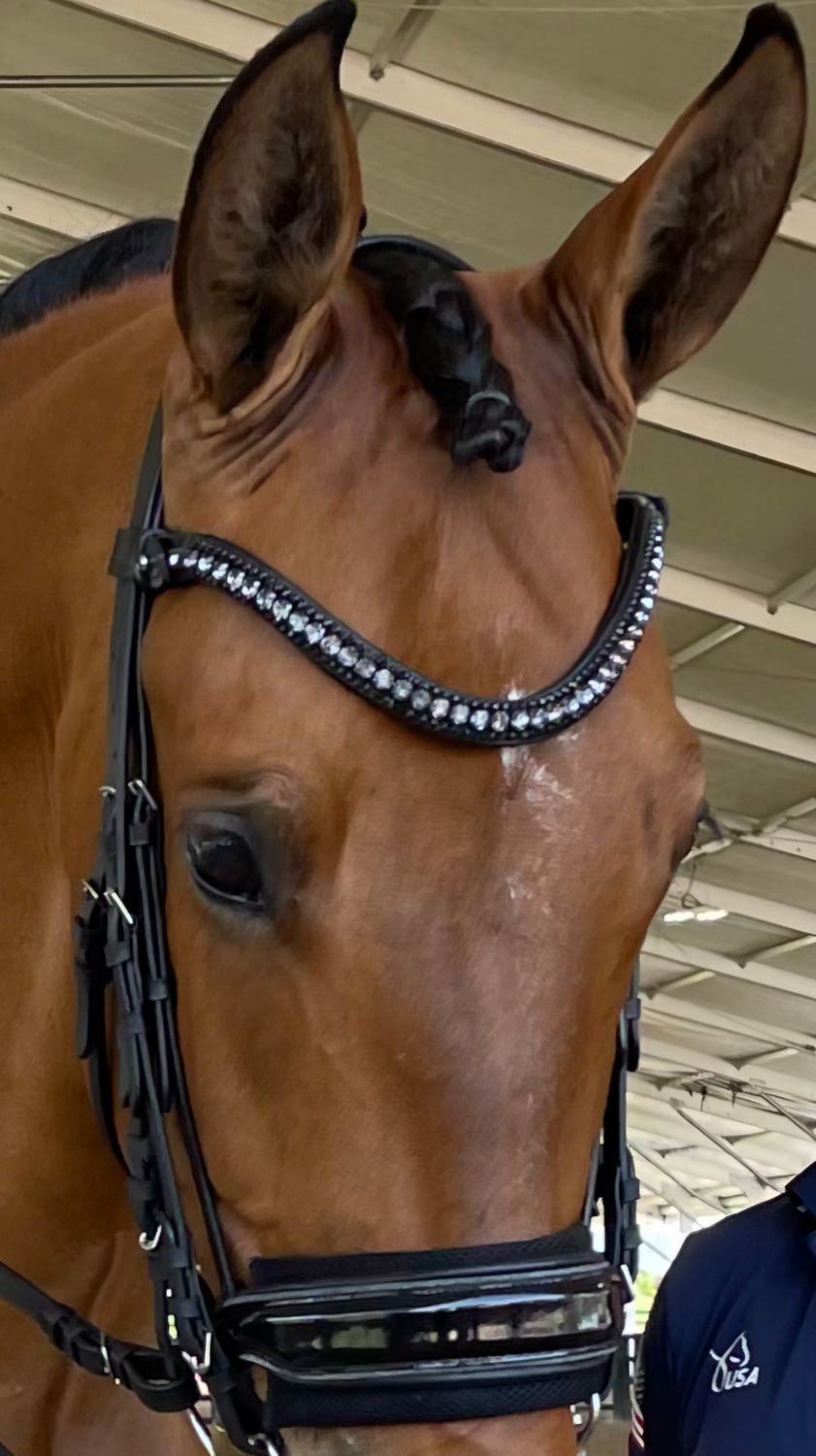 X-Deep U   * 3 Row (8.5mm, 4mm PRECIOSA Glass Crystal)   * Easy On/Off Crystal Rivet Button Closure   * BLACK or BROWN Italian Leather Browband  *Clear 40ss and Jet Black Crystals