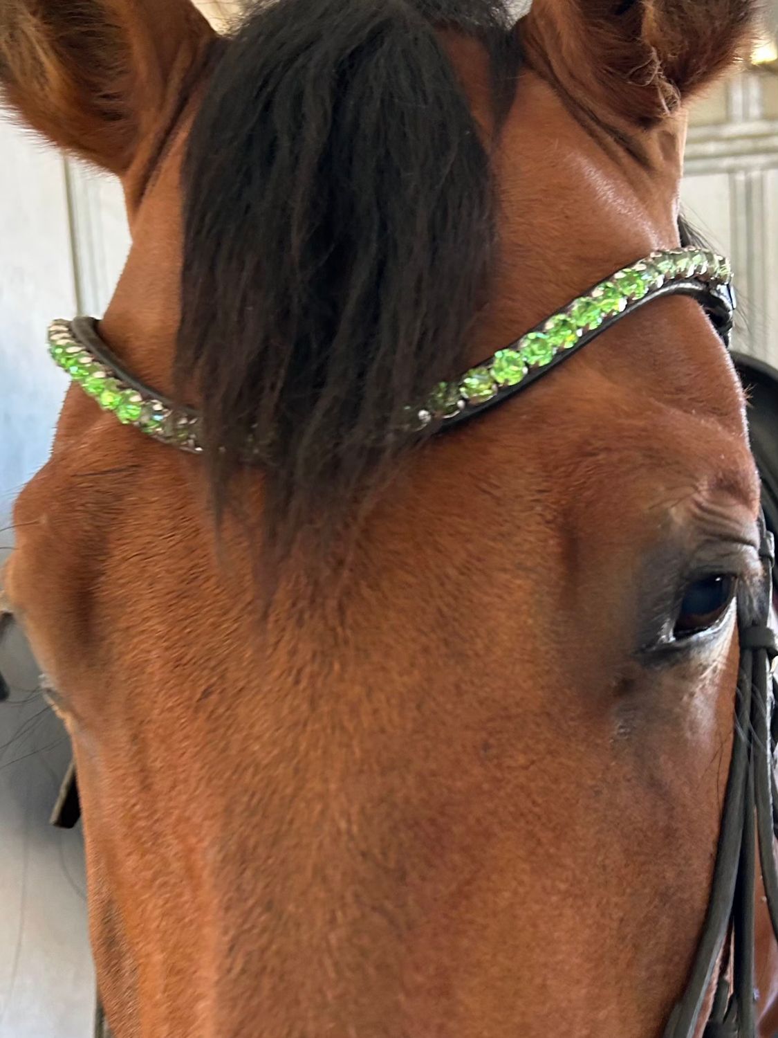 Green Erinite, Peridot, Chrysolite 1 Row Ombre 48ss (11mm) PRECIOSA Glass Crystal -Easy On/Off Snap BLACK or BROWN Leather Browband