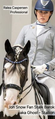 Sapphire, Lt. Sapp, Jet Black, Jet Blk Edges  3 Row 40SS (center) PRECIOSA Glass Crystal - Easy On/Off Crystal Rivet Button Closure BLACK Leather Browband