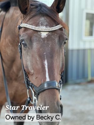 3 Row (8.5mm, 4mm PRECIOSA Glass Crystal)  * Easy On/Off Snap   * BLACK Leather Browband  *   Black Diam, Crystal Nightfall, Clear Crystals