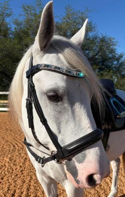 3 Row (8.5mm, 4mm PRECIOSA Glass Crystal)  * Easy On/Off Snap   * BLACK or BROWN Italian Leather Browband  *  Aquamarine, Blue Zircon, Bermuda Blue, Indicolite and Clear Crystals