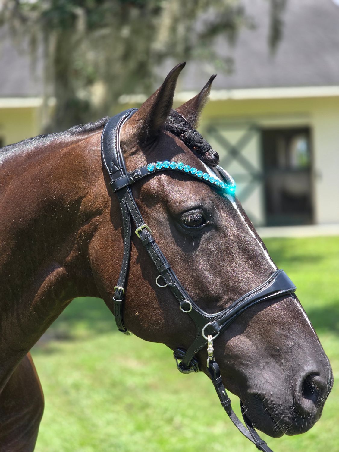 X-Deep U  *  1 Row  RIVOLI (12mm PRECIOSA Glass Crystal)   *  Easy On/Off Snap   * BLACK or BROWN Italian Leather Browband  * Aqua Bohemica Crystals