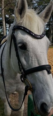 X-Deep U  *  Mix Pattern (7mm, 4mm ARIANA “NO SNAG Secure-Stitch" Hot Fix Glass Crystal)  *  Easy On/Off Snap   * Channel Set Padded Back BLACK or BROWN Italian Leather Browband  *Amethyst, Lt. Amth. 