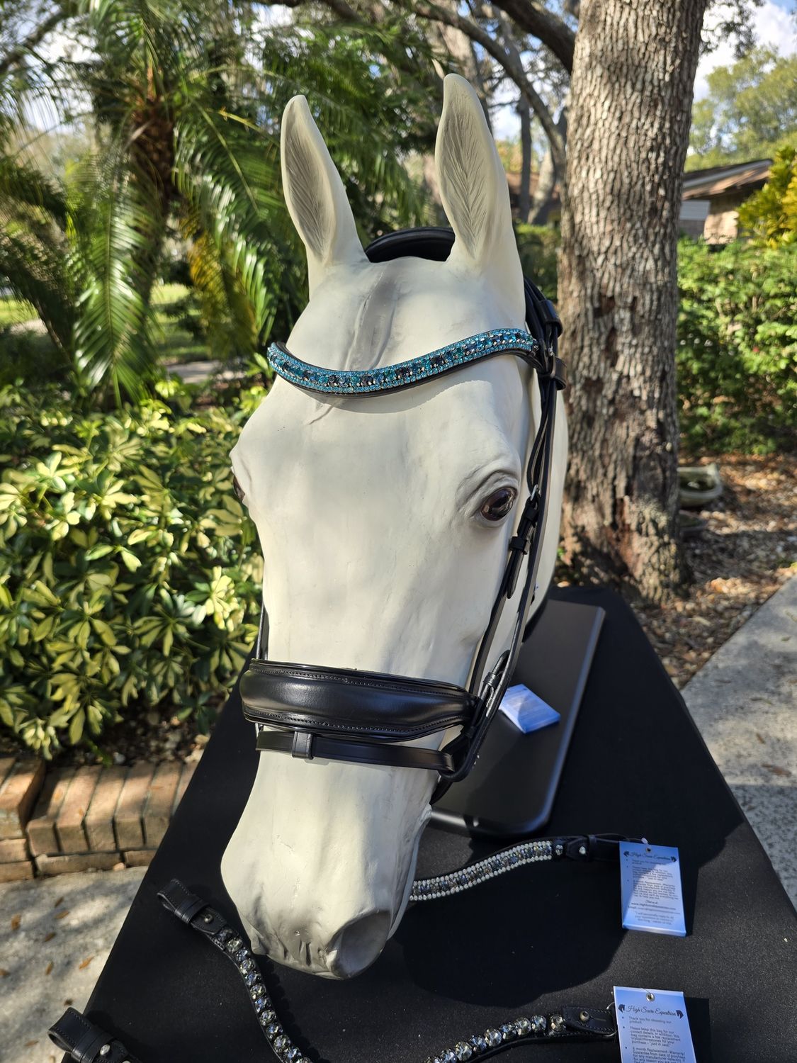 EctoTransition (Single/Double) BLACK Italian and Calfskin All Leather BRIDLE with Jet Black and Hematite Crystal Browband and Accent Patent Piping Noseband