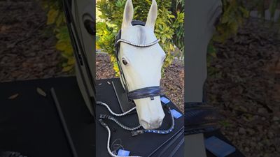 EctoPro 2 (Single/Double) BLACK Italian and Calfskin All Leather Bridle with Jet Black and Hermatite Crystal Browband and Accent Patent Piping EctoPro 2 (Single/Double) BLACK Italian and Calfskin All Leather Bridle with Jet Black and Hermatite Crystal Browband and Accent Patent Piping