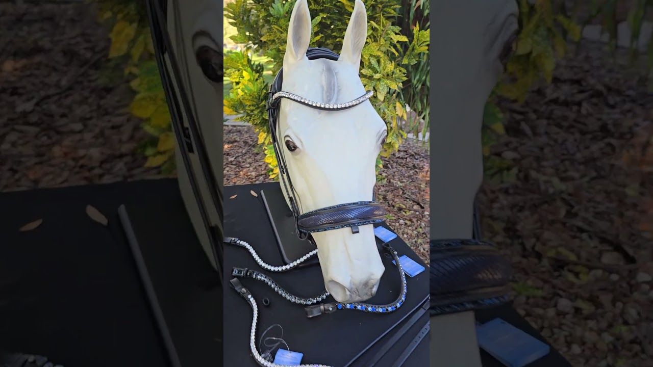 EctoPro 2 (Single/Double) BROWN Italian and Calfskin All Leather Bridle with Jet Black and Hermatite Crystal Browband and Accent Patent Piping EctoPro 2 (Single/Double) BROWN Italian and Calfskin All Leather Bridle with Jet Black and Hermatite Crystal Browband and Accent Patent Piping