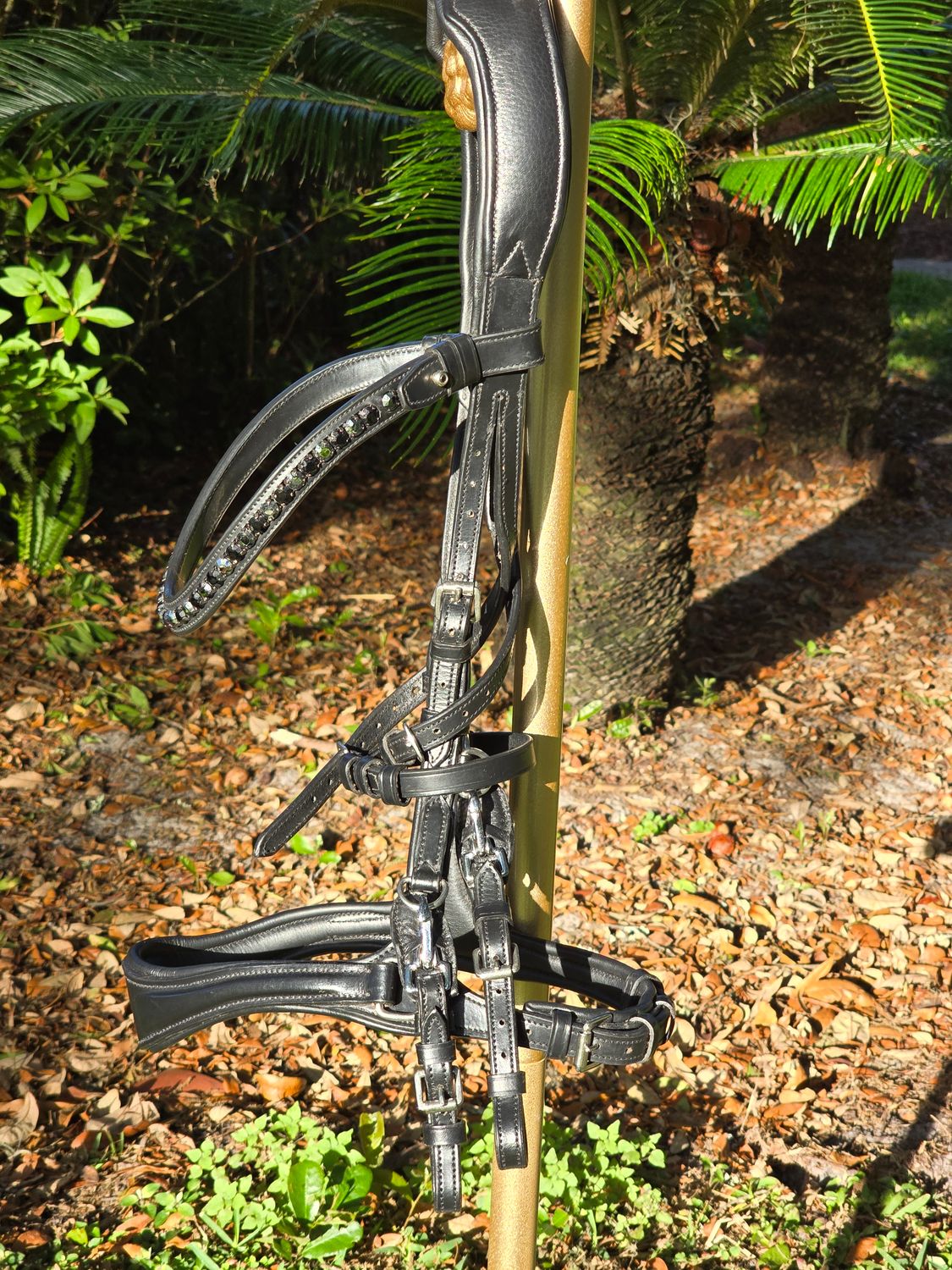 EctoBitless -  Bitless Bridle