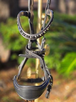 EctoBitless -  Bitless Bridle