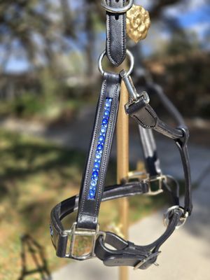 EctoExquisite HALTER - Apricot & Lt. Peach Crystal Mix EctoExquisite HALTER - Apricot & Lt. Peach Crystal Mix