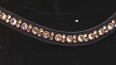 EctoExquisite CRYSTAL HALTER -  Silk ,Lt. Peach Vintage Rose, Crystal Mix