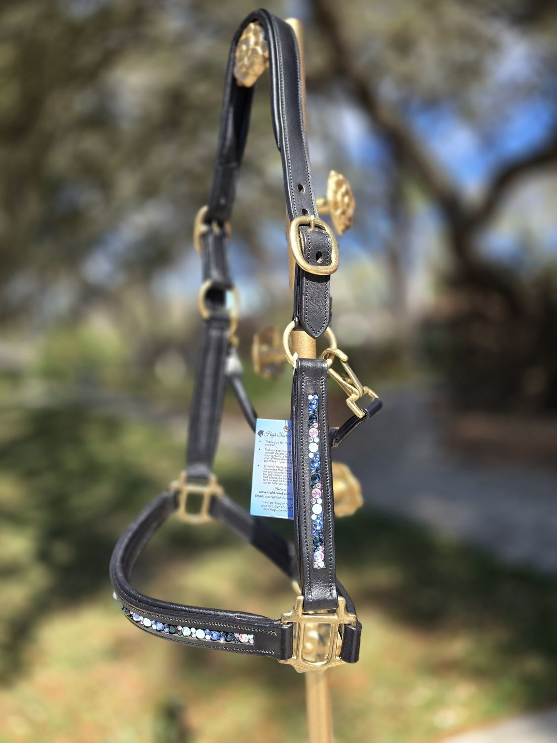 EctoExquisite HALTER - Crystal Clear EctoExquisite HALTER - Crystal Clear