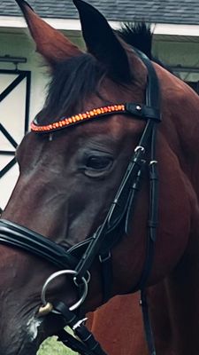 Med. U Mix Pattern (7mm, 4mm ARIANA “NO SNAG Secure-Stitch" Hot Fix Glass Crystal)  *  Easy On/Off Crystal Rivet Button Closure   * BLACK or BROWN Leather Browband  *Tangerine, Sun &amp; Hyacinth